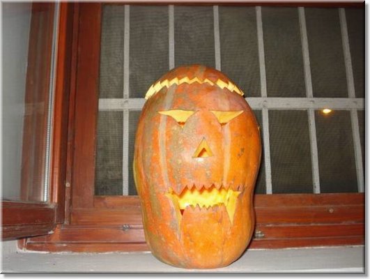 image5.jpg