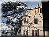 DSC09426.JPG